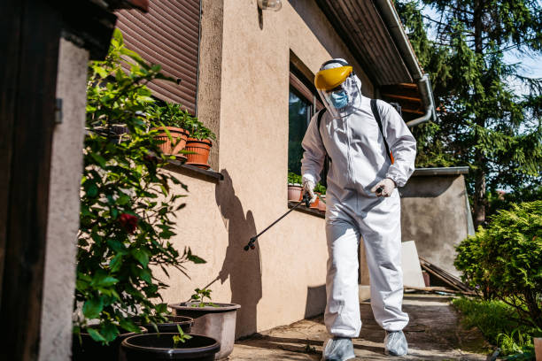 Best Best Pest Control Companies  in Morganton, NC