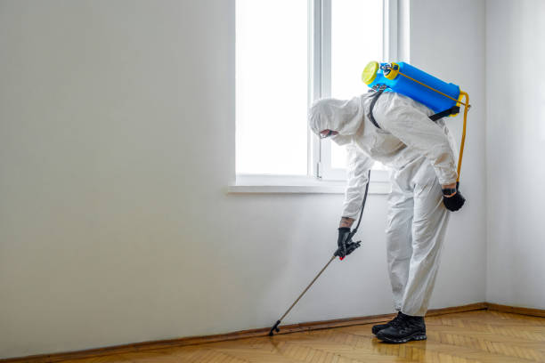 Best Affordable Pest Control Services  in Morganton, NC