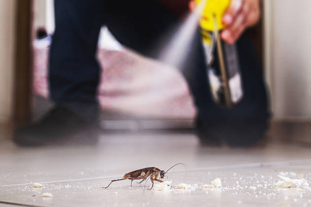 Best Exterminator Services  in Morganton, NC